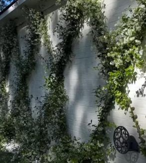 Kremenchuk Apartment | Confetti