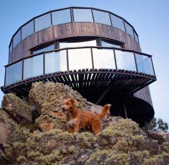 Aquitania Other | Constelación Glamping