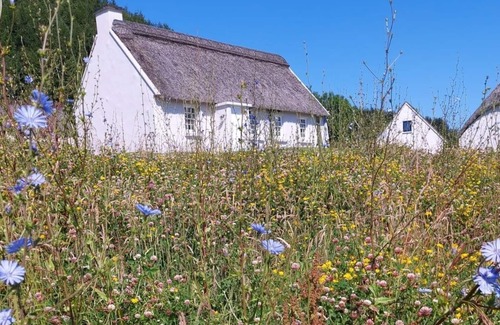Corofin Cottage | Corofin Lake Cottage No 4 - a two story that sleeps 6 guests in 3 bedrooms