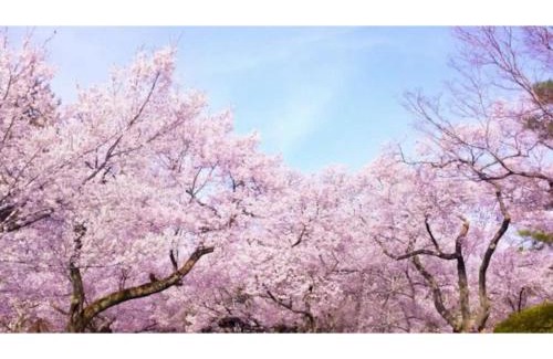 Hakodate Apartment | Corpo Marika 0 - Vacation STAY 43292v