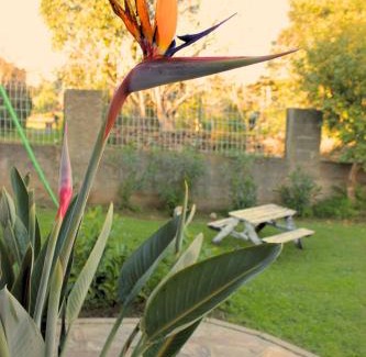 Querciolo Villa | Corse Maison de campagne mer et montagne