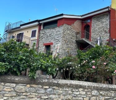 Ascea House | Corte degli Ulivi