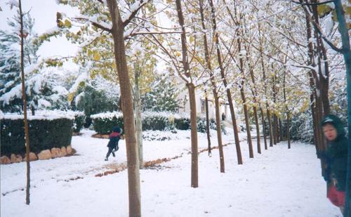 Caravaca de la Cruz Apartment | Cortijo Villarosa