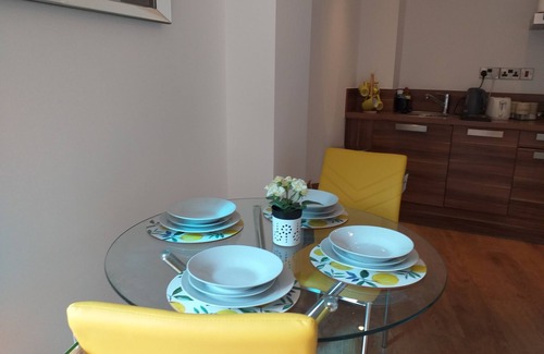 Sheffield City Centre Apartment | Cosy 1-bedroom Apartment self-checkin near Sheffield Centre and Ponds Forge