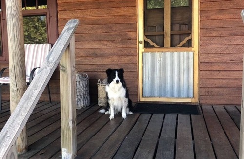 Wooragee Cottage | Cosy and comfortable with room to enjoy friends and family