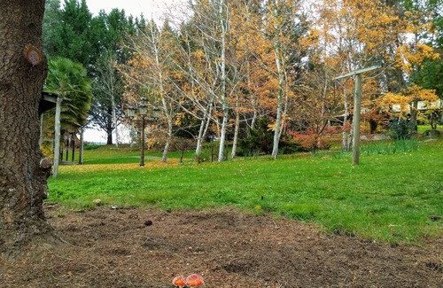 Wooragee Cottage | Cosy and comfortable with room to enjoy friends and family