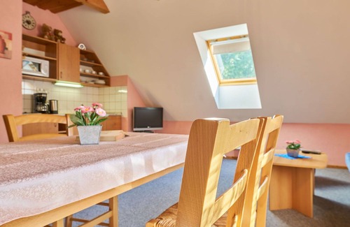 Starkov Villa | Cosy apartment in villa for 4 guests with WIFI, pool, TV, patio and pets allowed