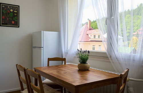 Josefov Dul Apartment | Cosy apartment for 6 people with WIFI, TV and balcony