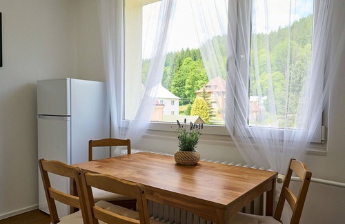 Josefov Dul Apartment | Cosy apartment for 6 people with WIFI, TV and balcony