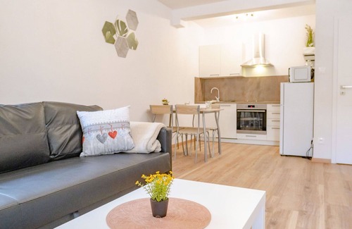 Jachymov Apartment | Cosy apartment for 5 people with WIFI, TV, terrace and pets allowed