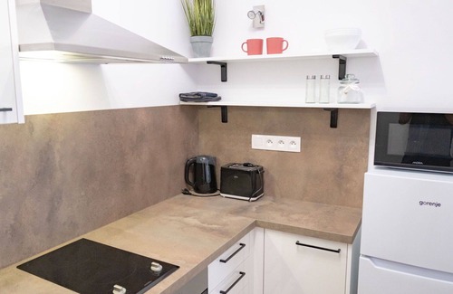 Jachymov Apartment | Cosy apartment for 5 people with WIFI, TV, terrace and pets allowed