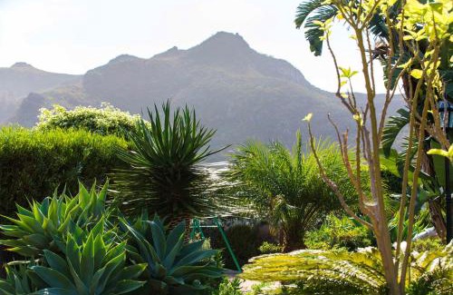 San Cristobal de La Laguna Apartment | Cosy Apartment in San Cristóbal de La Laguna, 32 m², Pool.