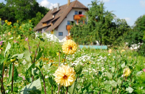 Hohenbodman Apartment | Cosy Apartment “Mayer Burghöfe FeWo 1” with Wi-Fi, Balcony & Garden; Parking Available