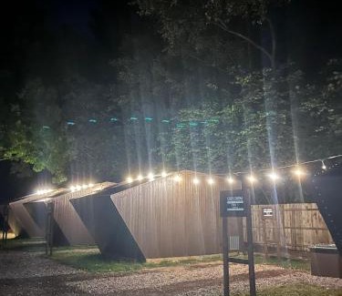 Pontcanna Other | Cosy Cinema