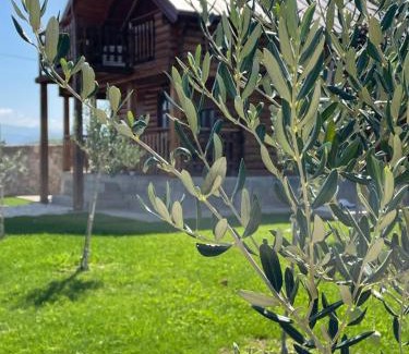 Pricelje House | Cosy Cottage with Private Pool - Andrej