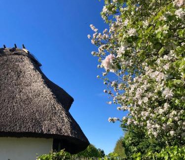 Nysted House | Cosy country house