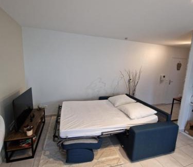 Decines-Charpieu Apartment | Cosy Decines Groupama Stadium-LDLC Arena Climatisé