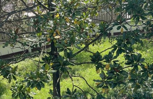 La Courneuve Apartment | Cosy N'est - Spacious apartment with garden just outside Paris.