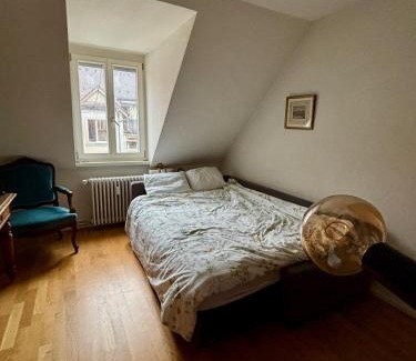 Sihlfeld House | Cosy room in attic flat in the center of Zurich