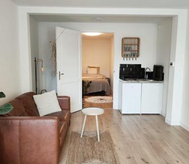 Lisse City Center Apartment | Cosy Tiny House 5 min walk Keukenhof included entrance keukenhof