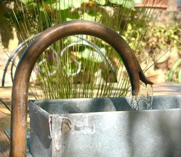 Sainte-Suzanne-and-Chammes Bed & Breakfast | Coté jardin