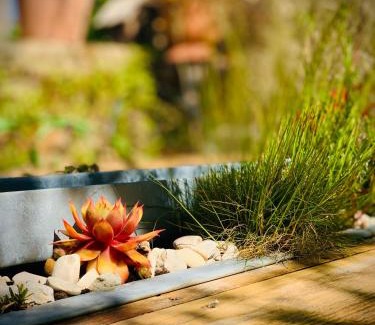 Sainte-Suzanne-and-Chammes Bed & Breakfast | Coté jardin