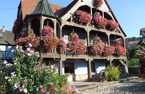 Triembach-au-Val Apartment | COTTAGE "AU VIGNERON" - SPA - 3 Epis