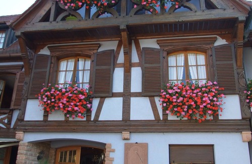 Triembach-au-Val Apartment | COTTAGE "AU VIGNERON" - SPA - 3 Epis