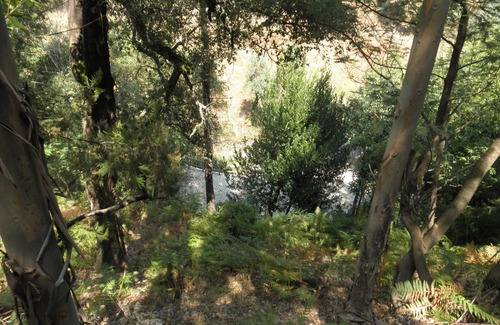 Figueiro dos Vinhos Cottage | Cottage easy access, very quiet and comfort.