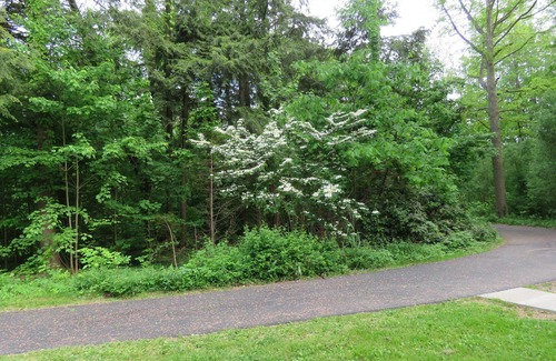 Fairview Cottage | Cottage II a very special, quaint and charming place to rest, relax and