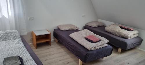 Sveitarfelagid Olfus Apartment | Cottage in the middle of nowhere