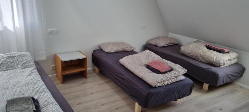 Sveitarfelagid Olfus Apartment | Cottage in the middle of nowhere