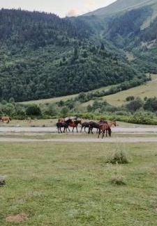 Mazeri Villa | Cottage Irko