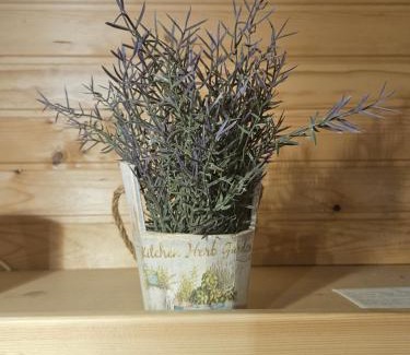 Studor House | Cottage Ladybug