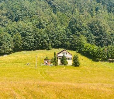 Dambovicioara Villa | Cottage Luca