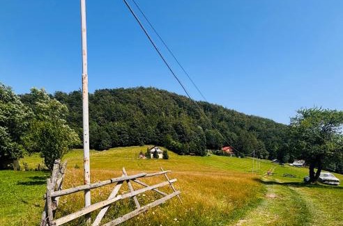 Dambovicioara Villa | Cottage Luca