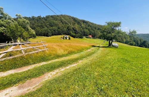 Dambovicioara Villa | Cottage Luca