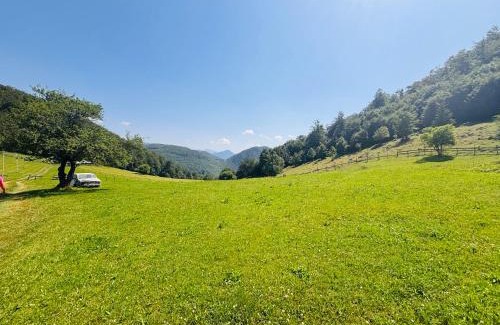 Dambovicioara Villa | Cottage Luca