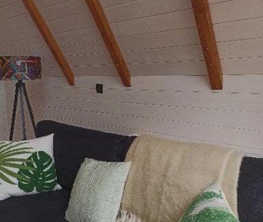 Stepantsminda Ski Chalet | Cottage Toladi