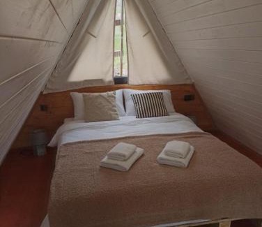 Stepantsminda Ski Chalet | Cottage Toladi
