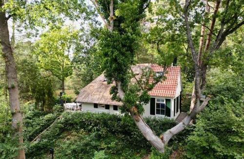 IJhorst House | Cottage Uylenhorst, De Witte Bergen 34