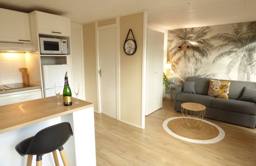 Leon Ski Chalet | COTTAGE VUE LAC - Nature Village, Swimming pools, Sports and 2 bikes, near Beach