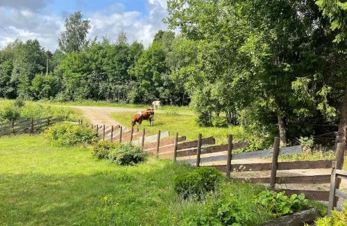 Nannestad House | Cottage w Wilderness Feeling 20 min from airport