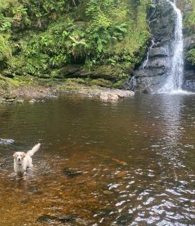 Achill Sound Ski Chalet | Country Cabin