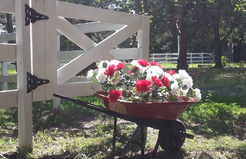 St. Augustine RV Rental | Country Farm Cottage @ Casa deCheval Chateaux- St Augustine