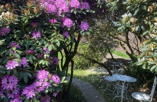 Wiefelstede Cottage | Country house Hassel