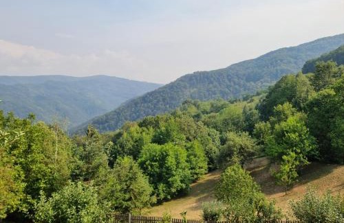 Central Serbia Apartment | Country House Sunčev breg