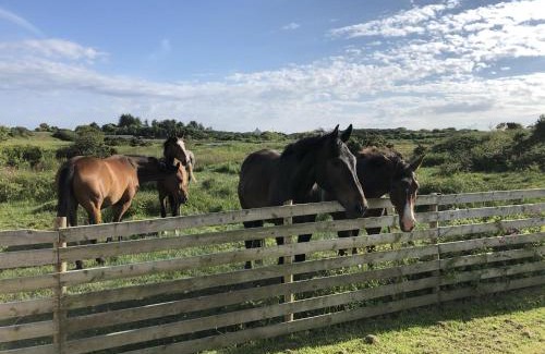 Caergeiliog Apartment | Country Retreat Sleeps 2 near Cymyran beach