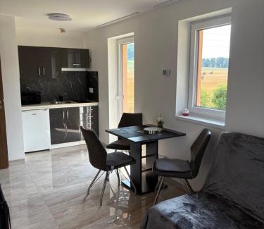 Porici nad Sazavou Apartment | Countryside Apartments 252