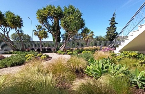 Vale de Seixos Apartment | Countryside Studio